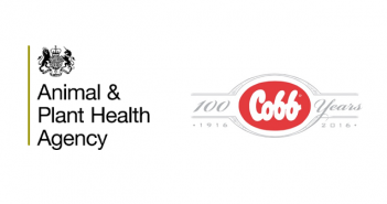 GB compartment status is achieved by Cobb Europe APHA + Cobb