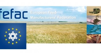 Europe’s animal feed sustainability plan needs more work Fefac