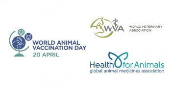 World animal vaccination day marks success with salmonella ?????????????????????????????????????