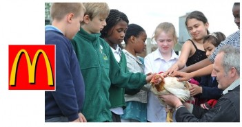 McDonald’s seeks sustained UK momentum McDonalds chicken image