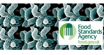 Campylobacter levels remain steady FSA Campylobacter May 27