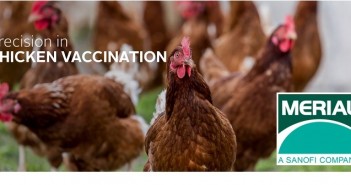 NeO effervescent tablets introduced for use in UK and Ireland Merial vaccine