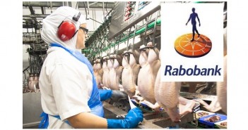 Rabobank forecasts “moderately positive” outlook for EU poultry Rabobank image
