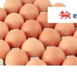 New views exposed on linking egg consumption and diabetes eggs + egg info