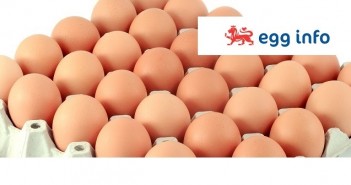 ‘Breggsit’ storm warning from egg processors eggs + egg info