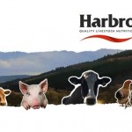 Harbro sets £40,000 charity target for 40th anniversary celebration Harbro image