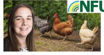 Comment: how to promote your turkeys this Christmas NFU poultry adviser Aimee Mahony
