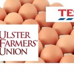 Ulster farmers criticise Tesco’s move away from caged eggs eggs + UFU + Tesco