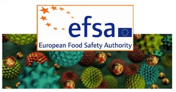 Efsa consults on food and feed allergens in GM plants Efsa gmo_allergen