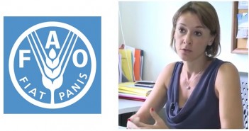 Egg production included in new FAO carbon footprint initiative FAO GLEAM Aug 24