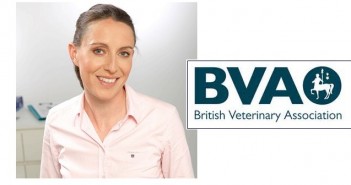 In big change, small acts are more important than ever, says BVA President in outgoing speech BVA president 2016 Gudrun Ravetz