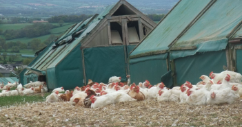 Farmer anger as ammonia planning rules change again without warning organic farm