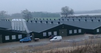 Windows made compulsory in chicken sheds in updated Red Tractor standards banham sheds