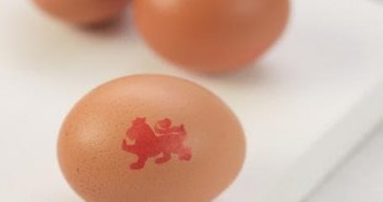 US eggs recalled over salmonella fears lion eggs 2