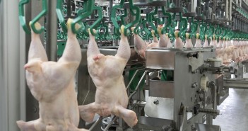 New Meyn equipment processes poultry at 15,000 bph meyn wing tip cutter