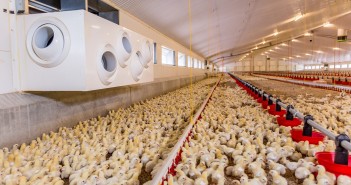 The Co-op produces training video for broiler farmers Poultry World: Littlehales Farm, Lilleshall in Shropshire owned and run by (pictured in blue gillet) Rob Timmis of H Timmis Farms.