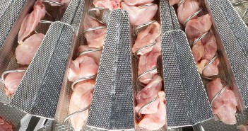 Predictions for global poultry market in Q3: improved but fragile market conditions Cabinplant_MHW-screw chicken