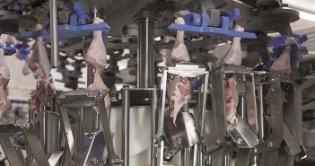 Automation stations: why the advance of robotics is about so much more than saving labour dd_orders_marel_target_340808
