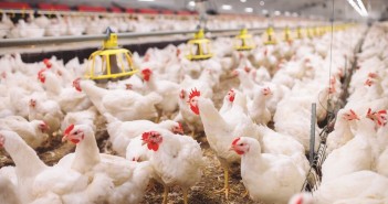 Slurry export forms deadline approaching inside shed