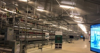 Egg farm permanently open to the public set to expand in Yorkshire SAlly-Open-Day