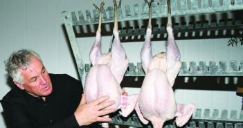 Gas stunning now for small turkey producers paul kelly turkeys