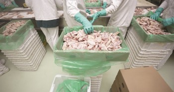 BVA welcomes Scottish funding for Official Veterinarians poultry processing 2