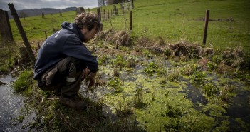 Share of £100,000 on offer for biodiversity schemes Ian Steele looking over the reedbed at Treflach Farm