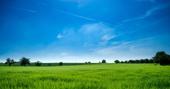 Many agriculture workers ‘holding out for redundancy’ bright-clouds-country-440731