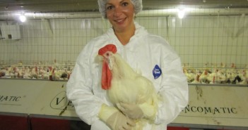 Feed & nutrition: the benefits of essential oils in poultry diets anpario vet