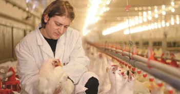 Vets launch 10 pledges for General Election manifestos vet in broiler house