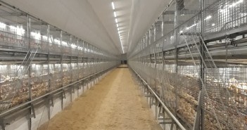 Investing in rearing Newquip Bird Bros rearing unit