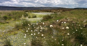 Cash incentive for landowners to restore UK peatland Peatland (C) Emma Goodyer
