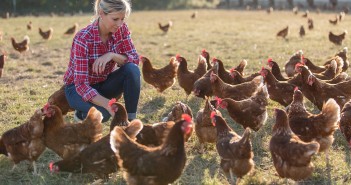 Agri contractors urged to follow Public Health Agency guidelines Noble Foods