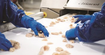 Processing equipment: a cut above the rest Marel Nugget Line