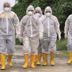 High pathogenic avian influenza confirmed in Netherlands bird flu biosecurity