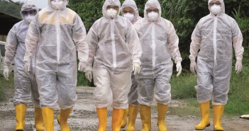 H5N8 confirmed in second NI commercial flock bird flu biosecurity