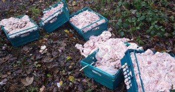 Illegal chicken dumpers in sights of trading standards in Darlington dumped chicken