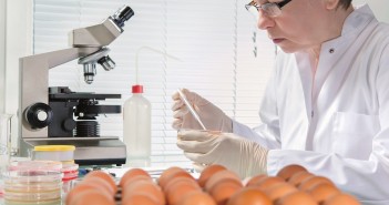 Salmonella the most common cause of foodborne outbreaks salmonella testing