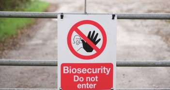Germany records new cases of highly pathogenic avian influenza biosecurity bird flu