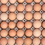 Egg sales hit record levels eggs in boxes close up