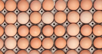 Egg sales hit record levels eggs in boxes close up