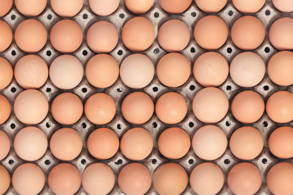 Analysis Cracking down on the carbon footprint of eggs to reach net