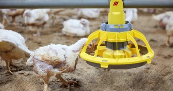 Roxell expanding range of feeder pans Broilers-feeder-pan-minimax-Roxell