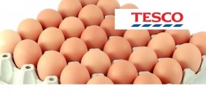 eggs + Tesco