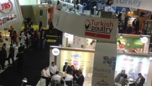 Turkey poultry
