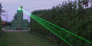 orchard eggs laser