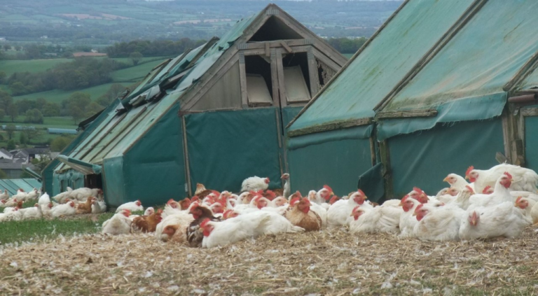 Red Tractor standards recognised by Campaign for Responsible Rodenticide Use