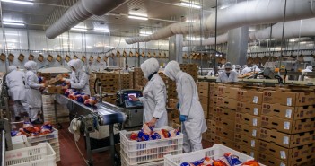 Ulster Farmers’ Union refutes Unite claims in agri-wage paper factory workers