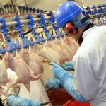 2 Sisters invests £7.5m upgrading Sandycroft poultry site 2 Sisters 20 years