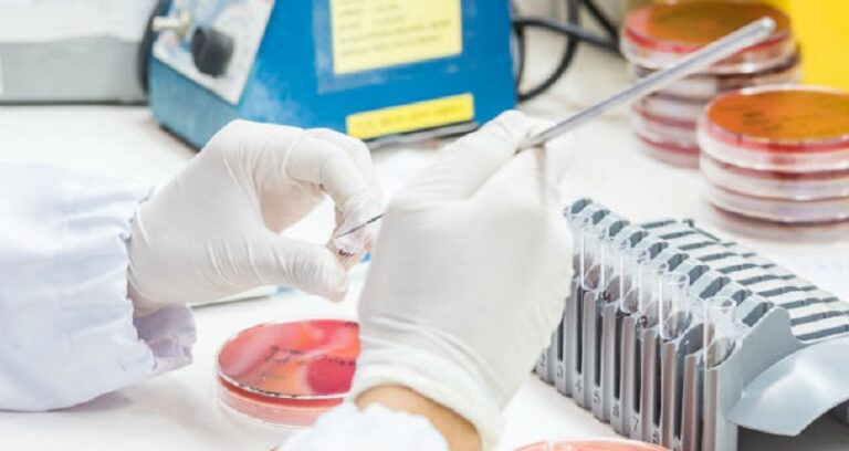 British researchers develop new avian influenza vaccine